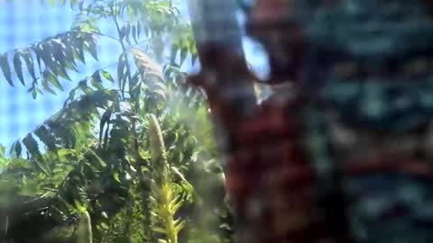 SLoppYxXPeeHoLeXxGspotxX online show from February 15, 2026, 8:38 pm