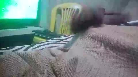 mad415264 online show from November 24, 2025, 3:50 am