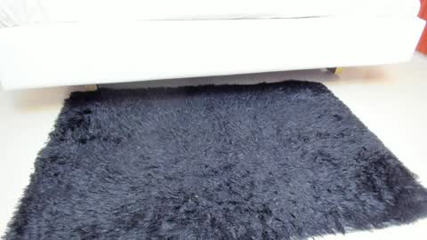 Madame Carla  online show from April 6, 2026, 12:06 pm