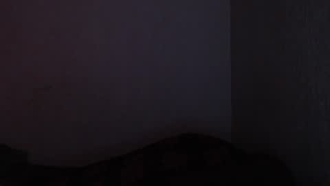 Made online show from December 17, 2024, 11:49 pm