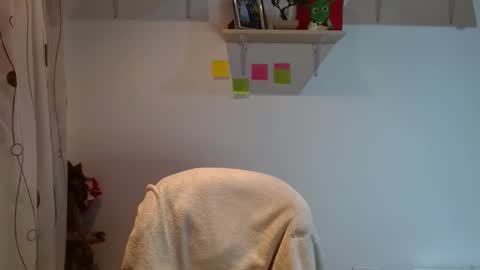 Snapshot of madisoncambel chatting on February 12, 2025, 3:40 am Madison Cambel online show from February 12, 2025, 3:40 am