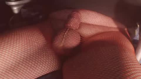 maestro2017 online show from February 6, 2026, 11:30 pm