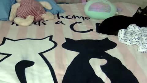 maferchavez88 online show from January 17, 2026, 3:11 am