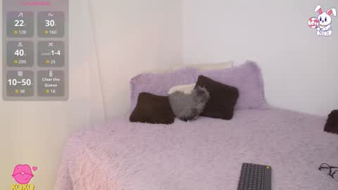    t  online show from March 27, 2026, 2:17 am