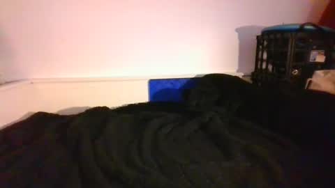 CommandbondageNipples bondage kink submissive lovense slave wgear. modequiethvyBondage If Password goldfish online show from December 14, 2024, 9:56 pm