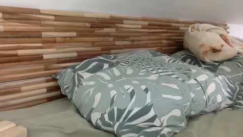 mamattv online show from January 12, 2026, 9:47 am