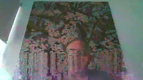 Snapshot of mambow99 chatting on April 4, 2026, 9:45 pm OLDMANFREE online show from April 4, 2026, 9:45 pm