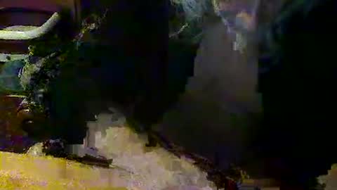 Snapshot of mangochurro chatting on April 30, 2026, 7:20 pm mangochurro online show from April 30, 2026, 7:20 pm