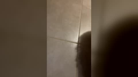 Snapshot of manguerazzo chatting on July 29, 2026, 5:49 am manguerazzo online show from July 29, 2026, 5:49 am