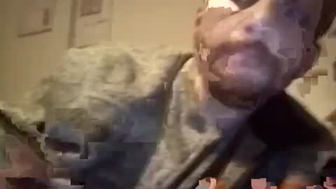 LANGERFICK online show from January 18, 2025, 7:38 am