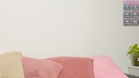     online show from February 7, 2025, 2:19 am