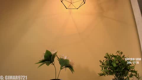 Snapshot of marcela_davila1 chatting on September 11, 2025, 12:00 am Marcela online show from September 11, 2025, 12:00 am