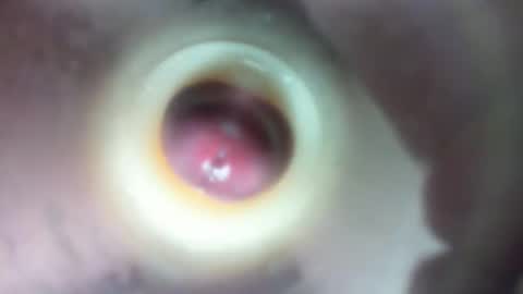 Marc online show from February 23, 2026, 1:58 am