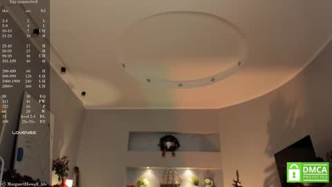 Snapshot of margarethowell chatting on December 25, 2024, 10:28 am Margaret online show from December 25, 2024, 10:28 am