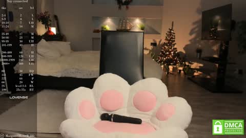 Snapshot of margarethowell chatting on December 28, 2024, 9:42 am Margaret online show from December 28, 2024, 9:42 am