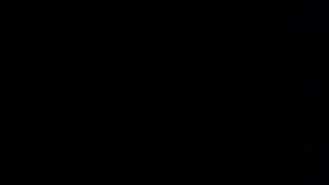 Elle online show from November 15, 2025, 3:30 pm