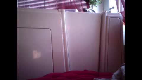 MariahJade95 online show from February 12, 2025, 2:54 pm