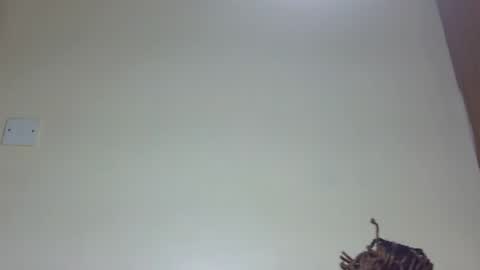 Marie online show from June 26, 2026, 8:02 pm
