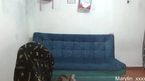  Marilyn  online show from June 18, 2026, 12:33 am