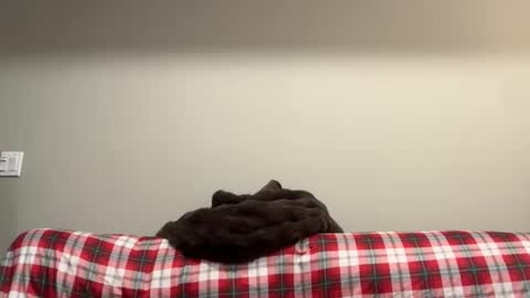 Snapshot of marlongotcake chatting on March 1, 2026, 7:10 am Marlongotcake online show from March 1, 2026, 7:10 am