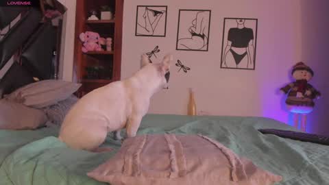 Snapshot of marstone_ chatting on January 3, 2025, 4:11 am Mar online show from January 3, 2025, 4:11 am