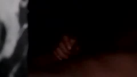 Snapshot of marylandguy20 chatting on December 20, 2024, 5:25 am Maryland Man online show from December 20, 2024, 5:25 am