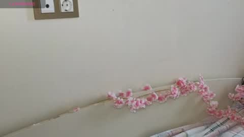 Snapshot of maryrosejansson chatting on May 10, 2026, 3:12 am Hi Im Olivia Im new here3 online show from May 10, 2026, 3:12 am
