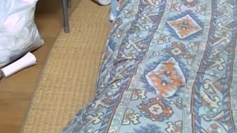 Snapshot of masayann chatting on October 20, 2025, 12:44 am masayann online show from October 20, 2025, 12:44 am