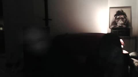 Snapshot of mat11efou chatting on March 8, 2025, 7:20 pm mat11efou online show from March 8, 2025, 7:20 pm