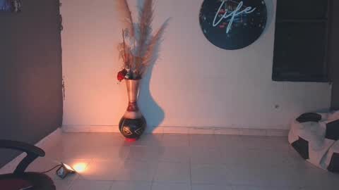 Snapshot of mattias_dantee chatting on January 24, 2025, 2:07 am mattias online show from January 24, 2025, 2:07 am