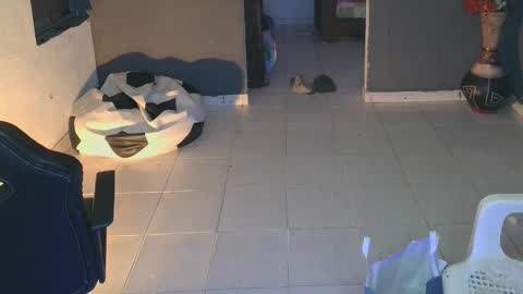 Snapshot of mattias_dantee chatting on February 19, 2025, 2:12 am mattias online show from February 19, 2025, 2:12 am