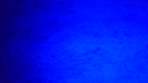 Ignacio online show from December 29, 2024, 8:22 am