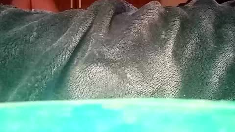 Ignacio online show from January 12, 2025, 1:37 pm