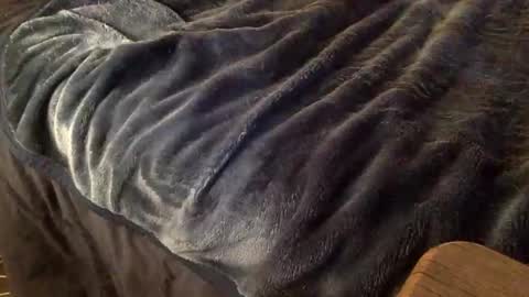 Ignacio online show from October 9, 2025, 3:59 am