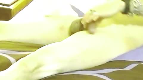 maxxflow online show from October 12, 2025, 11:42 am