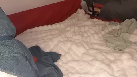 maybeanal online show from October 12, 2025, 5:06 am