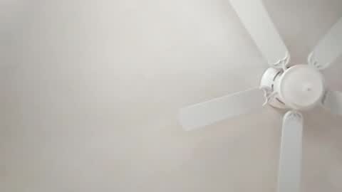 mcwire4 online show from January 1, 2025, 5:44 pm