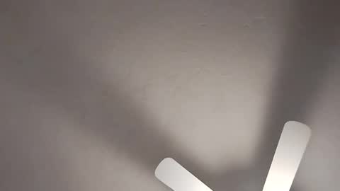 mcwire4 online show from January 19, 2025, 8:41 pm