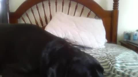 Davis online show from February 14, 2026, 8:16 pm