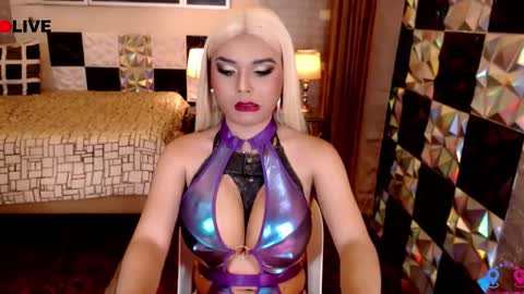 Snapshot of meatyhorsecocktrans chatting on November 8, 2025, 9:31 am meatyhorsecocktrans online show from November 8, 2025, 9:31 am