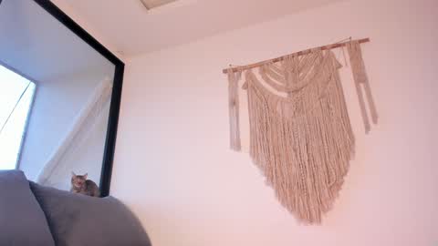 Snapshot of megan__88 chatting on January 3, 2025, 10:51 pm megan online show from January 3, 2025, 10:51 pm