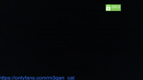 Snapshot of megan_cat chatting on July 4, 2026, 5:19 pm megan_cat online show from July 4, 2026, 5:19 pm