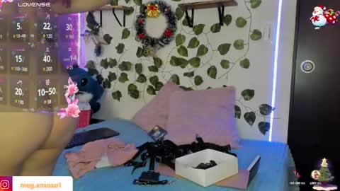 Megan online show from December 6, 2024, 12:49 pm