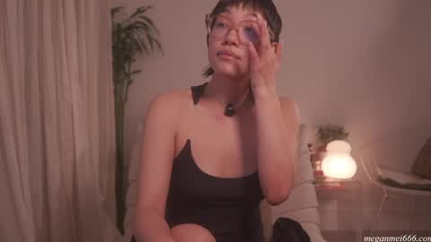 Snapshot of meganmei666 chatting on April 29, 2026, 2:04 am for more 3 online show from April 29, 2026, 2:04 am