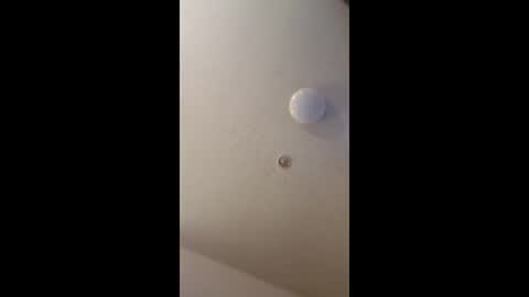 Snapshot of mel_hart_jr chatting on May 18, 2026, 7:09 pm mel_hart_jr online show from May 18, 2026, 7:09 pm