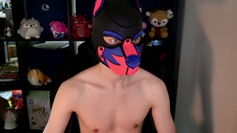 MellPUP online show from June 8, 2026, 8:42 pm