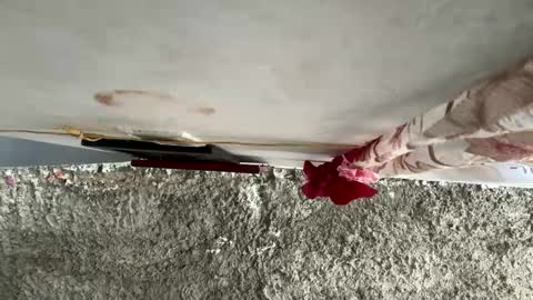 melodysnow online show from January 10, 2026, 6:31 pm