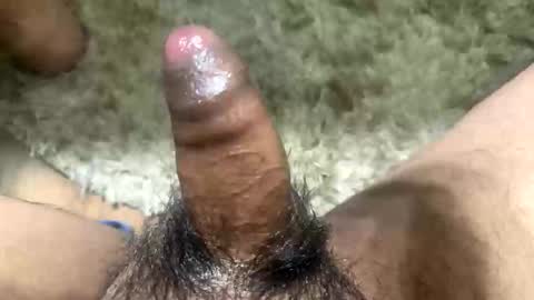 Toro loco online show from November 13, 2025, 5:39 am