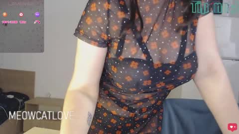 Snapshot of meowcatlove chatting on December 24, 2024, 9:00 pm meowcatlove online show from December 24, 2024, 9:00 pm