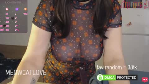 Snapshot of meowcatlove chatting on January 23, 2025, 9:18 pm meowcatlove online show from January 23, 2025, 9:18 pm